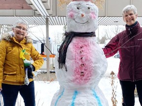 https://smartcdn.gprod.postmedia.digital/nugget/wp-content/uploads/2021/02/cropped-nb.0225-nb-snow-sculptures.jpg