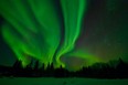 Aurora borealis, also known as the Northern Lights, seen in an undated photo taken at Wood Buffalo National Park in Alberta. (CNW Group/Parks Canada)