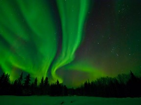 Aurora borealis, also known as the Northern Lights, seen in an undated photo taken at Wood Buffalo National Park in Alberta. (CNW Group/Parks Canada)