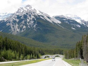 Banff National Park