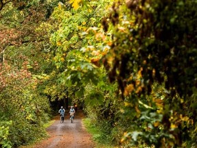 The Galloping Goose Trail on Vancouver Island.