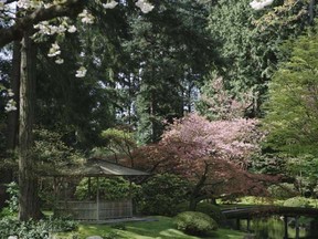 The UBC Nitobe Memorial garden is a serene place to explore.