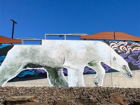 Don't miss the Arctic-themed murals on the wall outside the hospital. Photo by Jennifer Bain