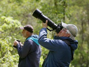 Frank King (right) and Barry Day, both of Newfoundland, take photos at Point Pelee National Park on May 22, 2017. Travel writer Bob Boughner notes the Point Pelee is one of three excellent locations on the north side of Lake Erie to which bird watchers flock. The others are Long Point Provincial Park and Rondeau Provincial Park. Nick Brancaccio/Windsor Star
