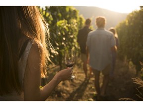 A group walks through a vineyard in the BC Okanagan Valley