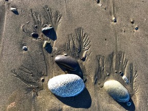 Walking down the beach by Haida House, you'll see beautiful rocks. [Photo by Jennifer Bain]