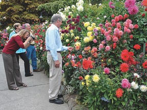 Butchart Gardens