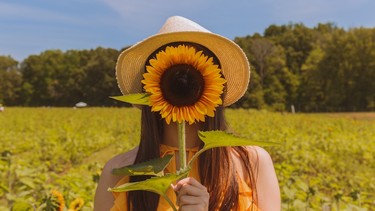 Flower farms are popular for people who want to get fresh flowers, but even more popular for people who want to fill their social media feeds with colourful photos. (Photo from Unsplash)