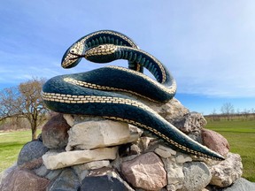 While the Narcisse Snake Dens get all the attention, this snake sculpture is in Inwood. (Photo by Jennifer Bain)