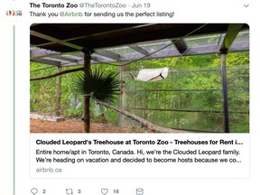 Airbnb encourages people to book the Toronto Zoo's clouded leopard treehouse to raise money for the zoo. [Handout photo/Airbnb]