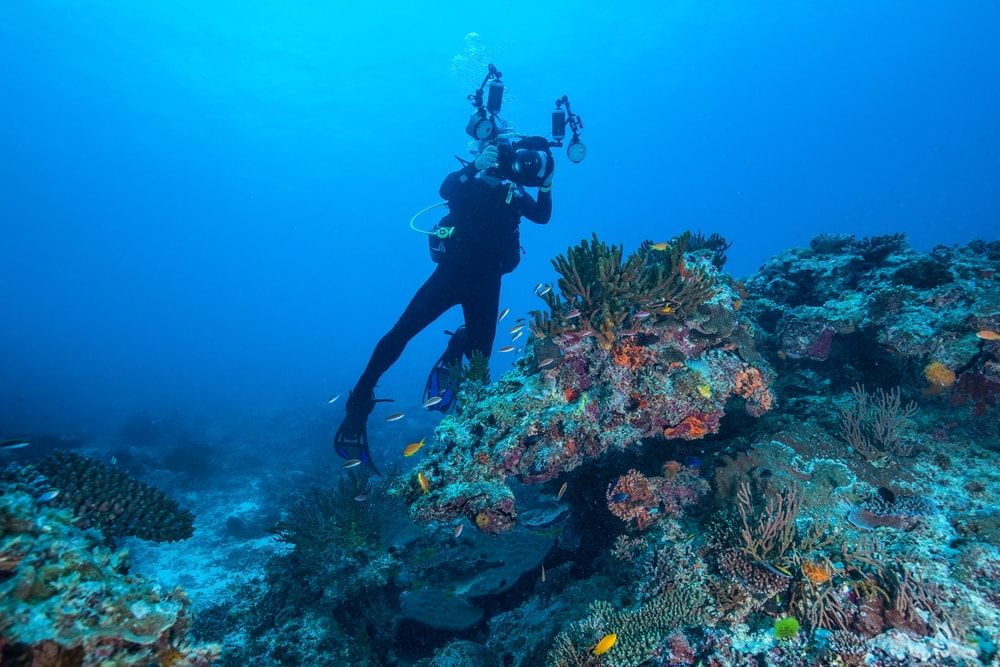 The world's largest marine park is absolutely stunning | Canada.Com