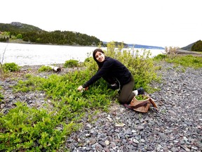 Alexandra Blagdon takes us foraging in Newfoundland and Labrador with Cod Sounds.