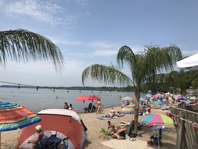 Although not quite indigenous, these palm trees add a nice tropical flair to the beach every summer in Port Dover, Ontario.