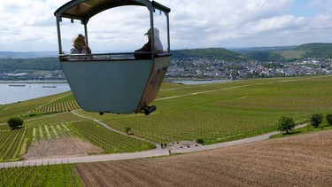 Rüdesheim's cable car delivers panoramic views over Riesling vineyards of the Rhine Valley. Photo credit: Sarah Staples, Insta @itravelnwrite