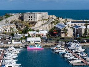 Carnival is increasing its share of cruises to Bermuda substantially this year and next.