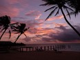 PInes and Palms Resort in the Florida Keys.