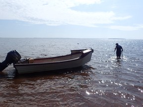 Jeff Noye brings a boat into Malpaque Bay