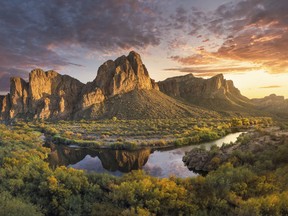 Mesa may be a desert town, but the nearby Salt River is the place to cool down.