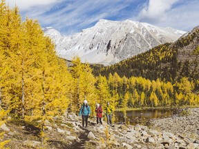 Pocaterra Ridge in Kananaskis Country