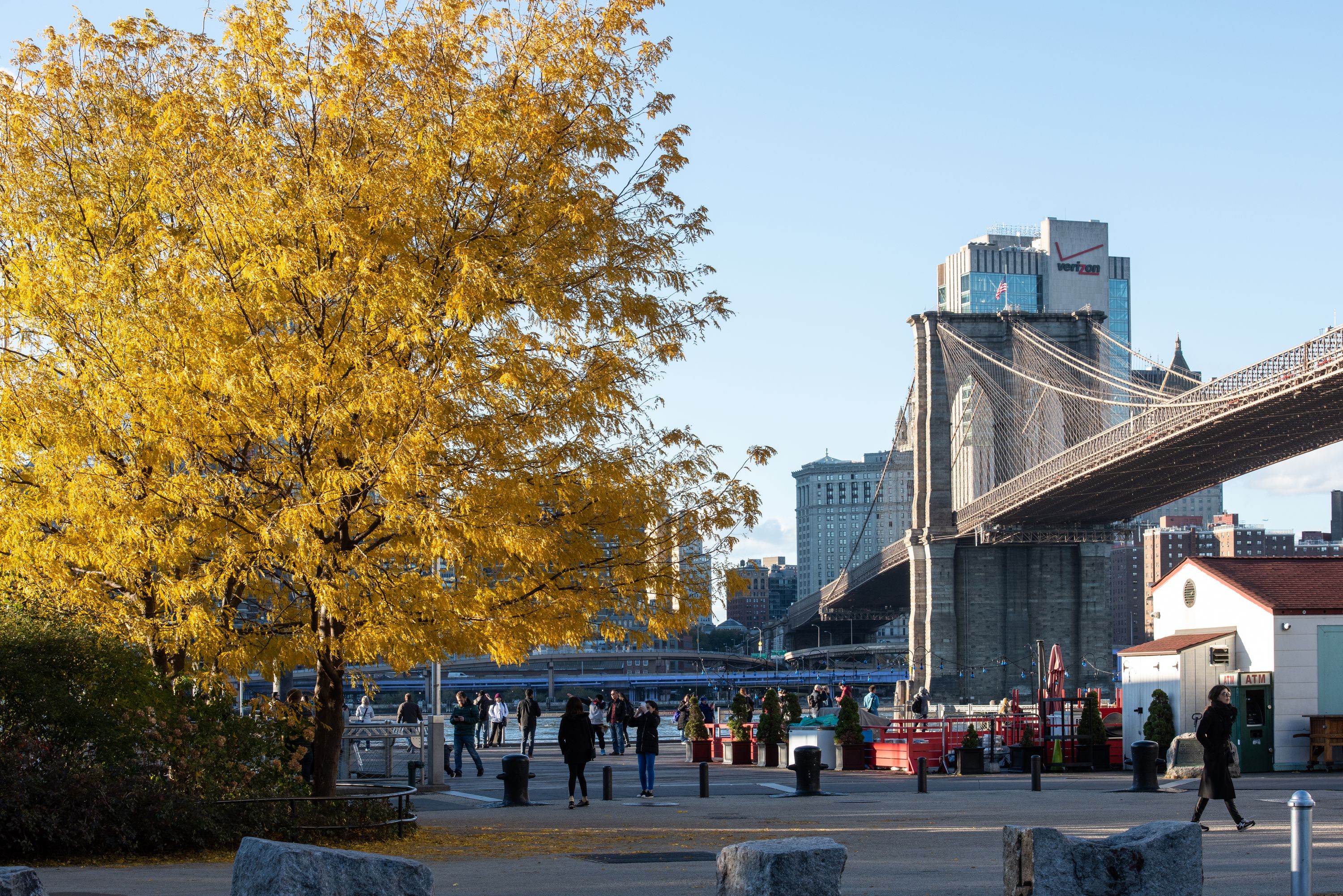 A Japanese Thread in the Bronx - The New York Times