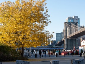 Autumn in Brooklyn