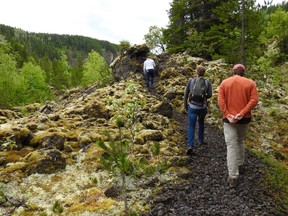 Walking up Crater Creek Trail surrounded by lichen-covered lava beds.