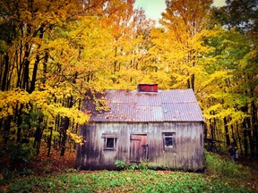 A house in rural Quebec surrounded by leaves