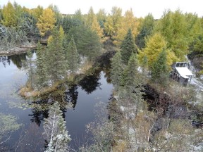 Refuge Pageau, a retreat near the northern Quebec town of Amos, where injured animals come to heal.