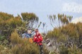 New Zealand's Paparoa Track