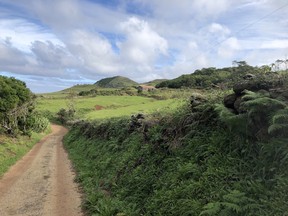 A back road through the wild, part of the Grand Route on Santa Maria.