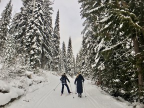 make tracks this winter