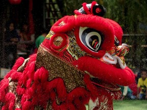Lion dances are commonly performed during the Lunar New Year to bring luck and good fortune.