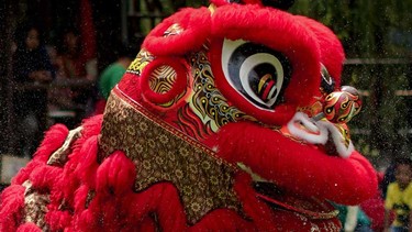 Lion dances are commonly performed during the Lunar New Year to bring luck and good fortune.