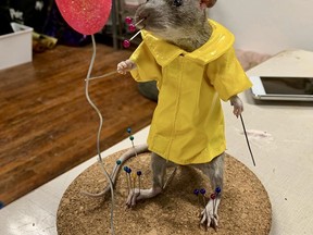 A Casual Taxidermy student posed this rat in homage to the supernatural horror film IT.