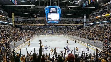 The Predators have become an important factor in Nashville's tourism industry