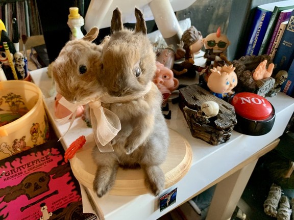 Extreme oddities are celebrated at new Graveface Museum in Savannah ...