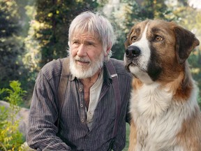Harrison Ford and Buck in 2020’s The Call of the Wild