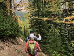 Larch Valley in Banff National Park