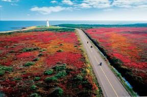 The peat bogs of Miscou Island turn a brilliant scarlet at this time of year.