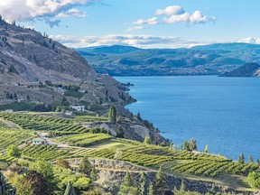 At 120 kilometres long and up to 230 metres deep, Okanagan Lake near Summerland, B.C., is vast enough to conceal a creature as elusive as the Ogopogo.