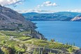 At 120 kilometres long and up to 230 metres deep, Okanagan Lake near Summerland, B.C., is vast enough to conceal a creature as elusive as the Ogopogo.