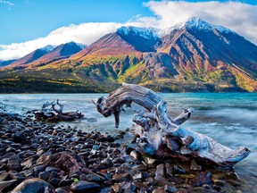 Vivid Northern colours at Lake Kathleen, in Kluane National Park.