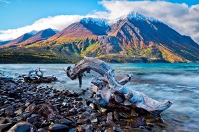 Vivid Northern colours at Lake Kathleen, in Kluane National Park.