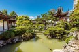 Visitors can wander through winding pathways and delicate foliage at the Dr. Sun Yat-Sen Classical Chinese Garden in Chinatown, enjoying the tranquillity while watching koi in the pond.