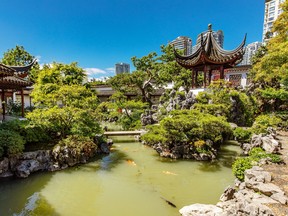 Visitors can wander through winding pathways and delicate foliage at the Dr. Sun Yat-Sen Classical Chinese Garden in Chinatown, enjoying the tranquillity while watching koi in the pond.