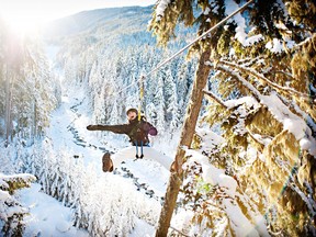 Ziptrek Ecotours features four ziplines up to 700 metres long