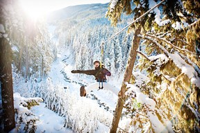 Ziptrek Ecotours features four ziplines up to 700 metres long