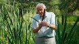 David Attenborough holds the seed head of a Bulrush, Typha latifolia