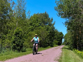 The Confederation Trail was built on a disused railroad, so it's a fairly flat bike trail that takes you through many scenic communities.
