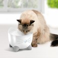 The Catit PIXI holds up to 2.5 litres of water and filters dust and debris. catit.ca